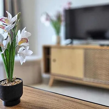 Lx153 Clim Balcon & Piscine - 2mn Des Plages アパート